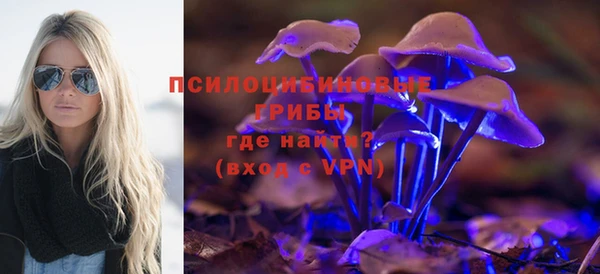 стаф Волосово