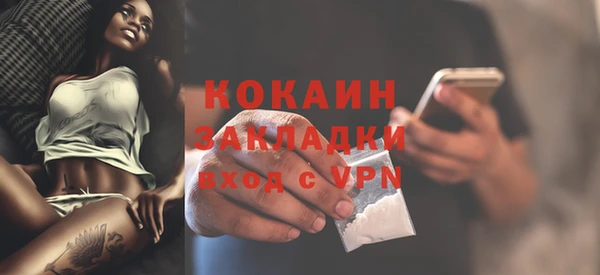 гидра Верхний Тагил