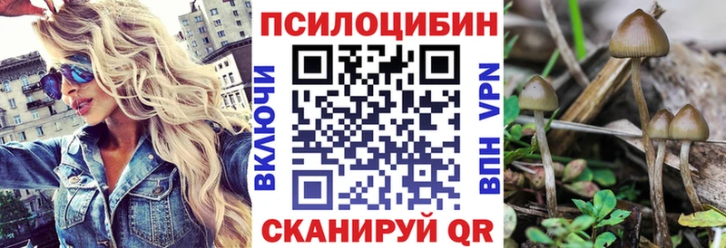 Галлюциногенные грибы GOLDEN TEACHER  Купить закладки  Первомайск 